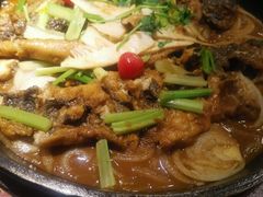 -老板恋上鱼(恒隆广场店)