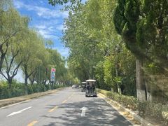 -太阳岛度假酒店