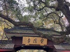 -灵隐飞来峰景区