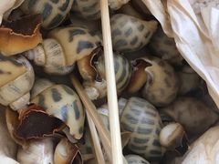 -张家卫·阳江菜·小海鲜(肥婆湾桥店)