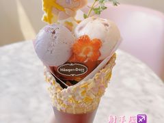 -哈根达斯(朝阳大悦城店)