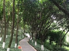 -龙头寺公园