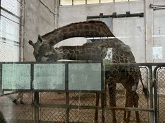 -石家庄市动物园