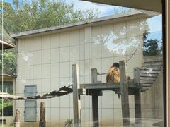 -合肥野生动物园