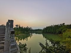 -瑶湖郊野森林公园