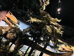 -浙江自然博物院(杭州馆)