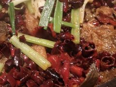 -老板恋上鱼(高新万达店)