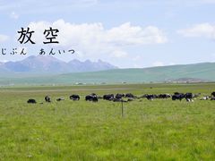 -叠溪松坪沟景区