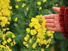 -紫颐香薰山谷景区
