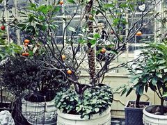android_upload_pic-RGF(巨鹿路店)