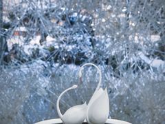 -罗红摄影艺术馆