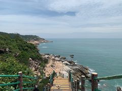 -广东惠东海龟国家级自然保护区