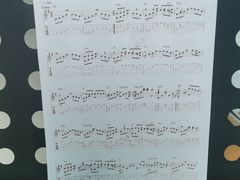 -大象音乐·吉他·架子鼓·声乐(双井店)