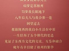 -安阳博物馆