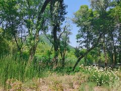 -西湖风景区-江洋畈生态公园