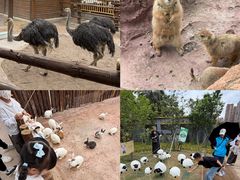 -福州罗源湾海洋世界旅游区