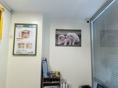 -美迦爱-牙专科·兔科·骨科诊疗中心(北苑店)