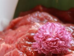-九鼎轩脆毛肚火锅(三钢里店)