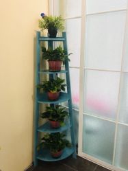 -薇兰专业脱毛连锁机构