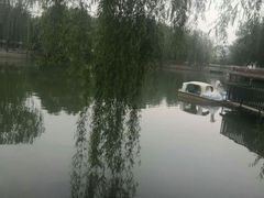 -黄村公园