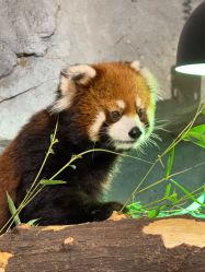 -Zoolung Zoolung动物主题公园(海信广场店)