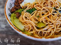 -天府面庄(天平路店)