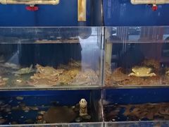 -广记海鲜(杨汊湖一店)