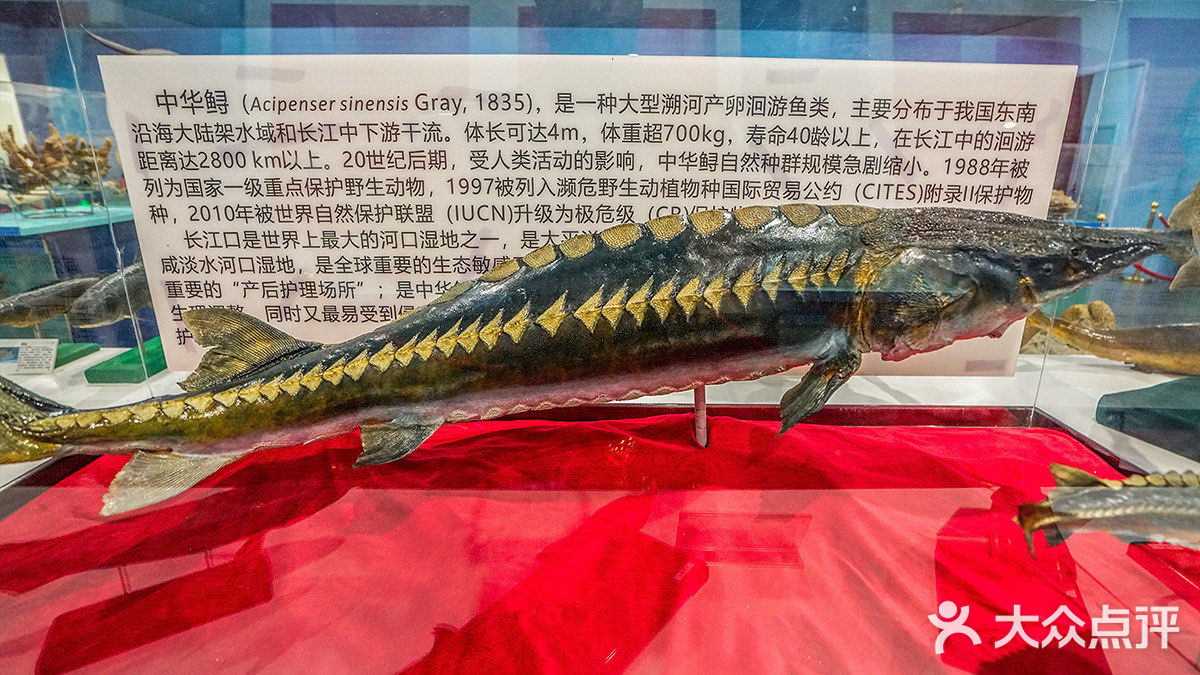 崇明长兴岛上，有一座上海长兴岛博物馆