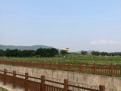 -光明小镇欢乐田园