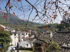 -塔川景区