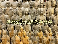 -秦始皇帝陵博物院(兵马俑)
