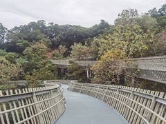 -福道