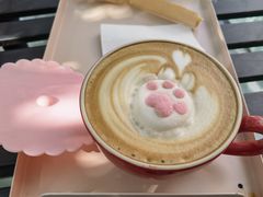 -喵屿·大理花园猫咖
