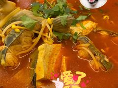 酸汤乌江鱼-贵州大厦贵州厅(樱花园西街店)
