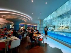 -帝企鹅自助餐厅•儿童岛•真企鹅(长隆企鹅酒店)