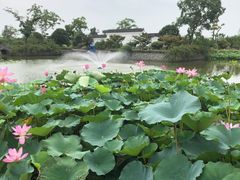 -嬉乐湾休闲旅游区
