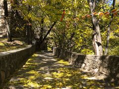-北京上方山国家森林公园