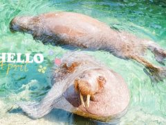 -珠海长隆海洋王国