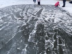 -北陵公园
