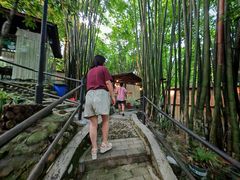 -竹海听涛生态山庄