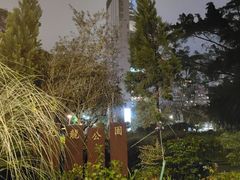 -九龙公园