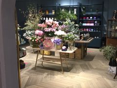 -BEAST野兽派(上海浦东嘉里城店)