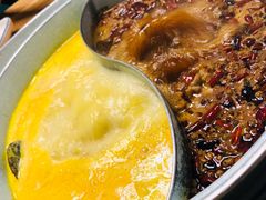 -青瓷火锅料理(西单大悦城店)