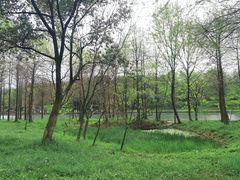 -西溪国家湿地公园