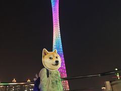 -珠江夜游广州塔·中大码头