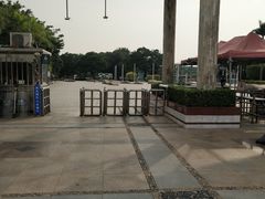 -海上田园