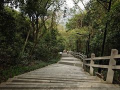 -广州市白云山风景名胜区