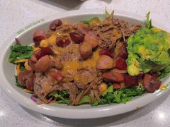 -油梨树 AVOCADO TREE(亮马桥店)