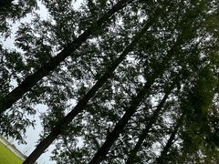 -嘉北郊野公园