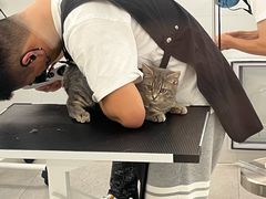 -comecome来吧宠物(奥克斯中心店)